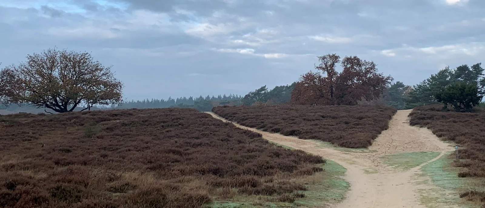 EMDR Soest