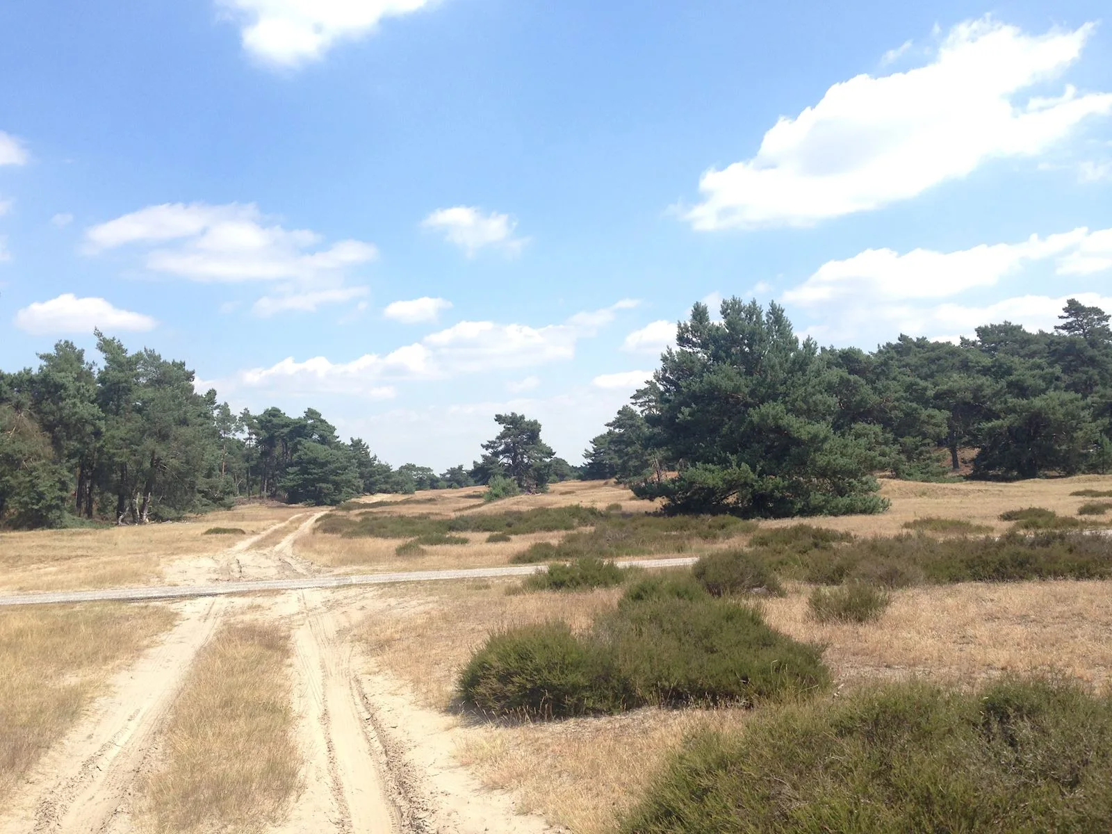 Buitenpsychologie in Baarn en Blaricum