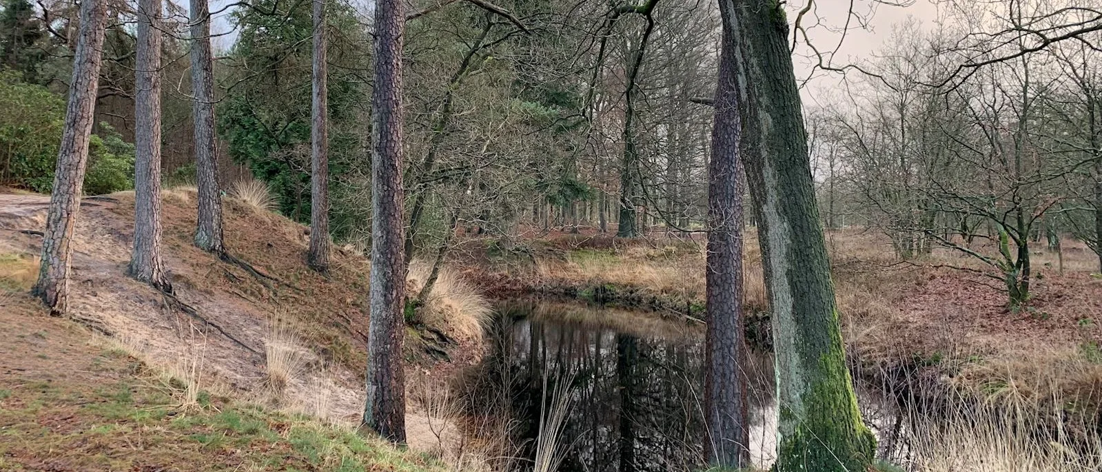 EMDR Laren